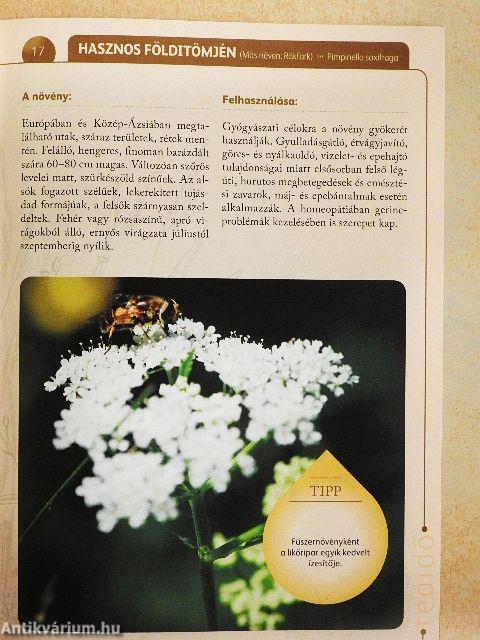 A természet gyógyereje 14.