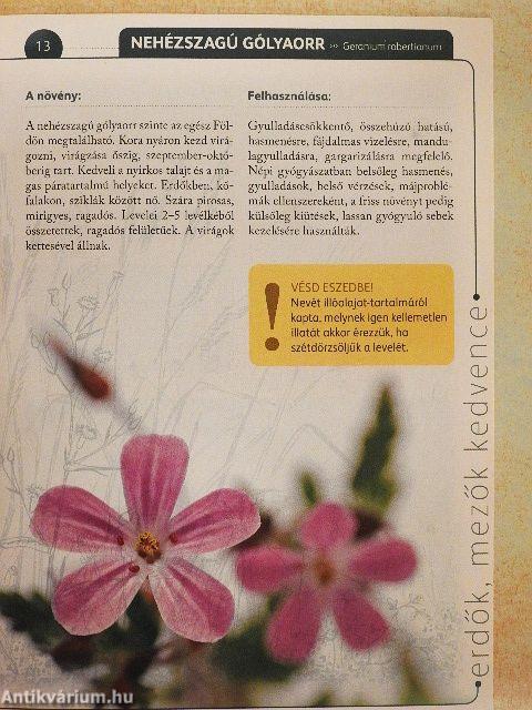 A természet gyógyereje 13.