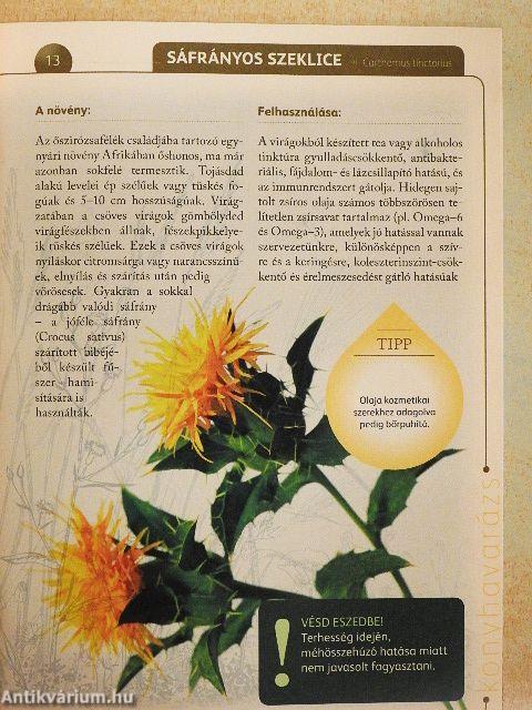 A természet gyógyereje 2.