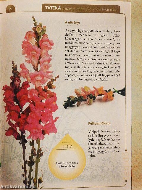 A természet gyógyereje 11.