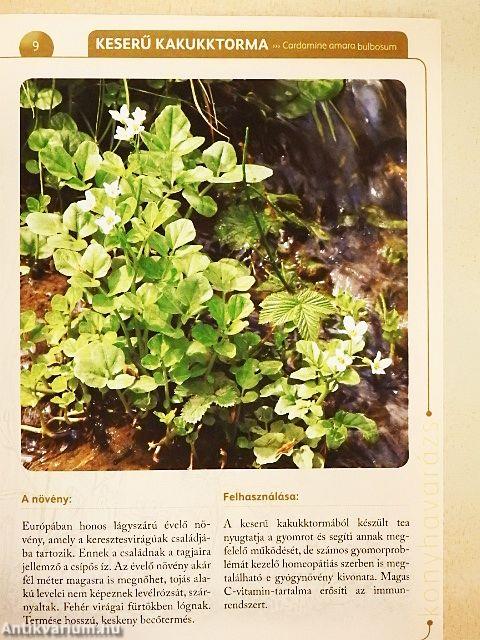 A természet gyógyereje 12.