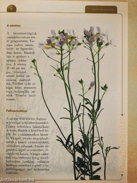 A természet gyógyereje 9.