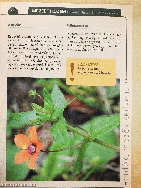 A természet gyógyereje 9.