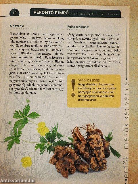 A természet gyógyereje 8.
