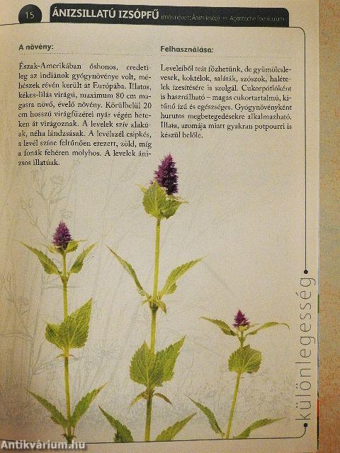 A természet gyógyereje 6.