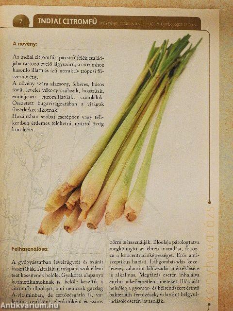 A természet gyógyereje 5.