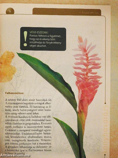 A természet gyógyereje 5.