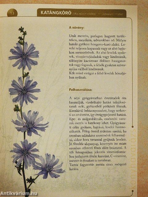 A természet gyógyereje 4.