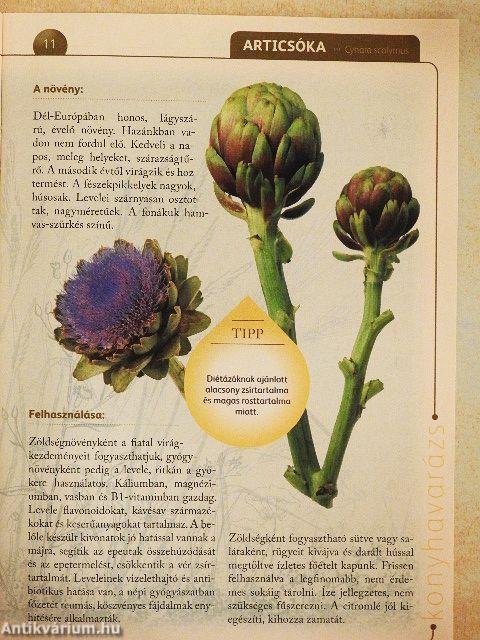 A természet gyógyereje 3.