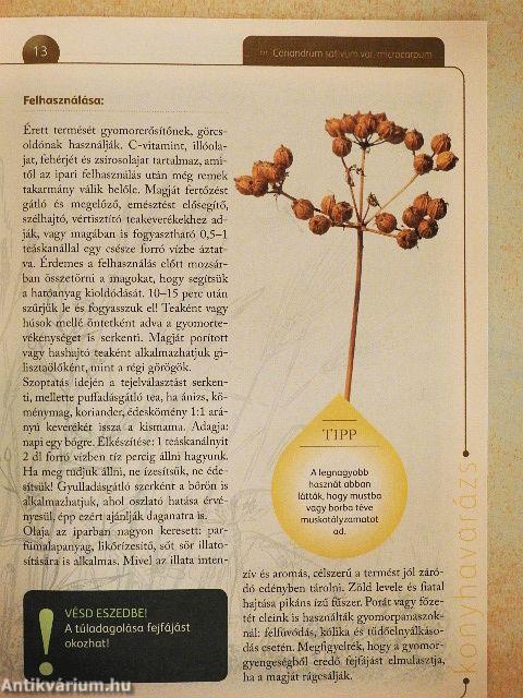 A természet gyógyereje 3.