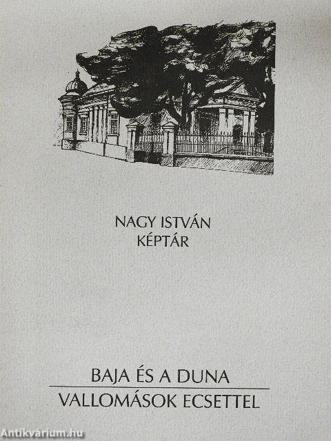 Baja és a Duna - Vallomások ecsettel