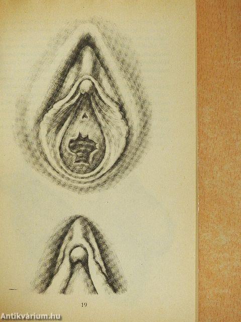 A gyönyör művészete