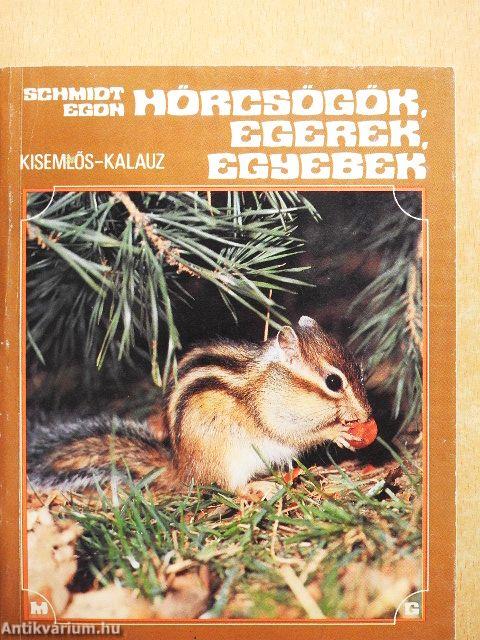 Hörcsögök, egerek, egyebek