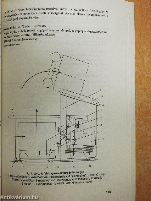 Sütőipari termékek gyártása kis- és középüzemekben