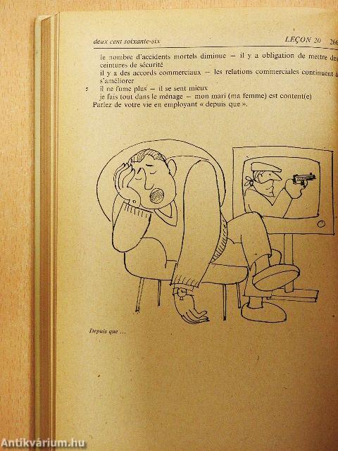 En francais, s'il vous plait