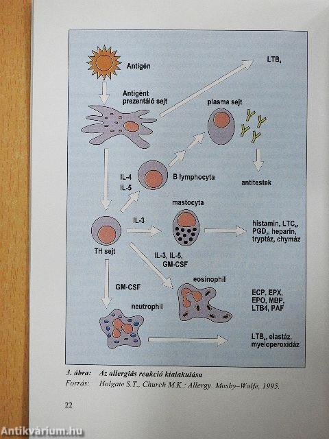 Adverz táplálékreakciók
