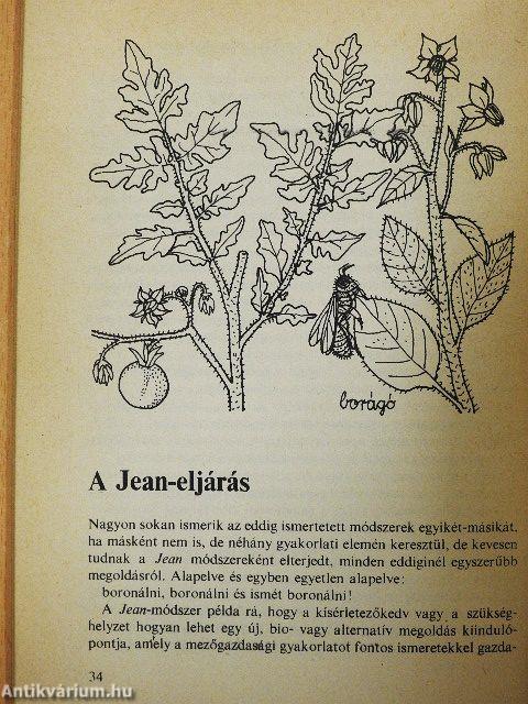 A biokertészkedés elvei, módszerei, irányzatai