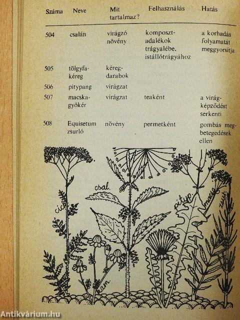 A biokertészkedés elvei, módszerei, irányzatai