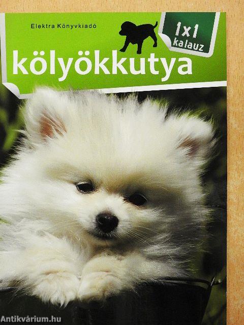 Kölyökkutya