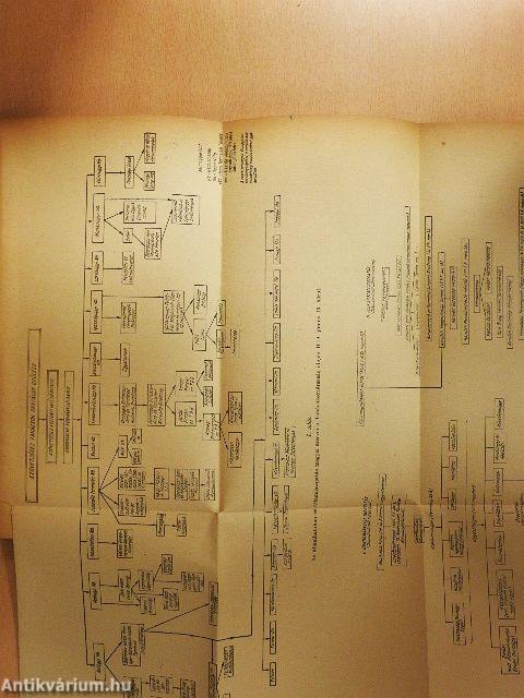 A Magyar Tanácsköztársaság történetének forrásai a Magyar Állami Levéltárakban