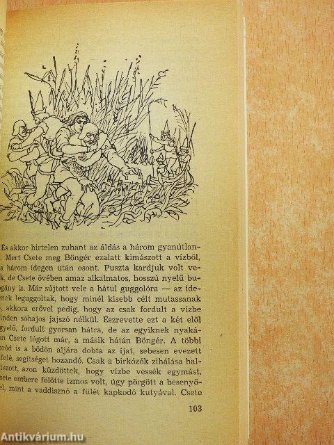 Holló Csete, a besenyő