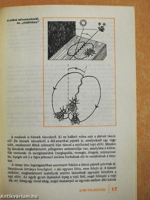 Hírközlés az állatvilágban