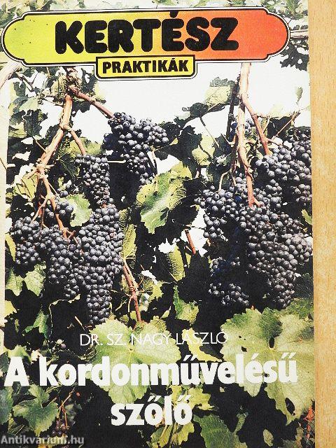 A kordonművelésű szőlő