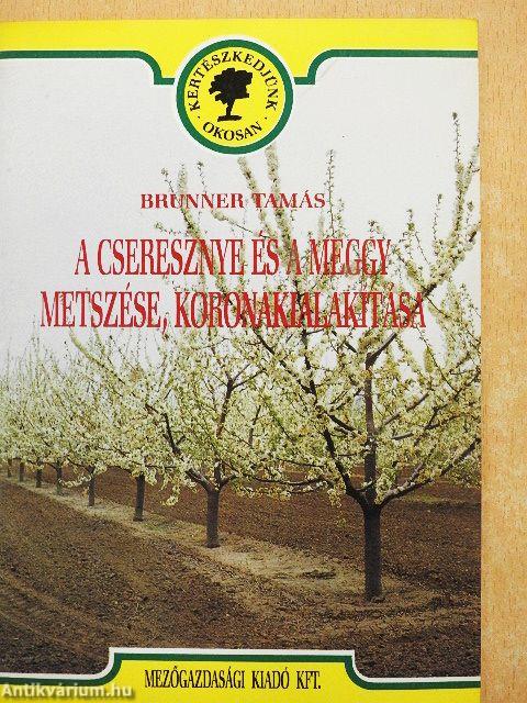 A cseresznye és a meggy metszése, koronakialakítása