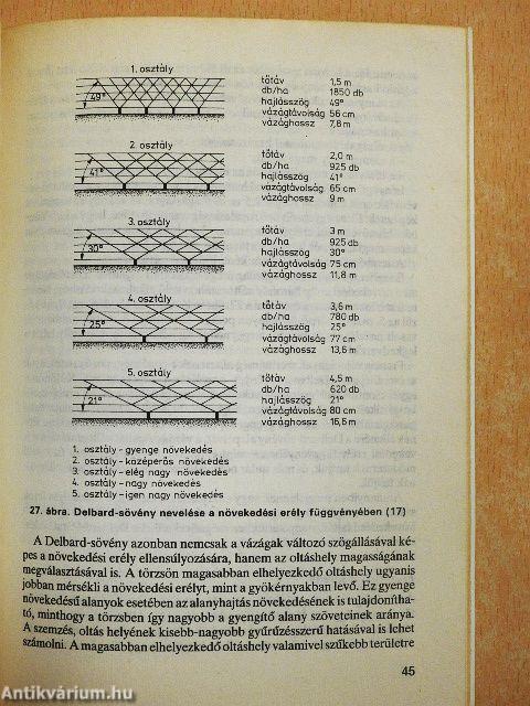 A cseresznye és a meggy metszése, koronakialakítása