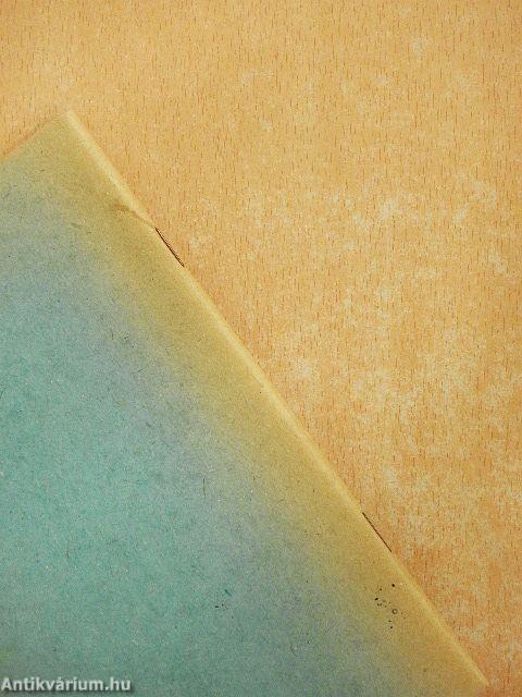 Kisérletek, kutatások, kezdeményezések Budapesten