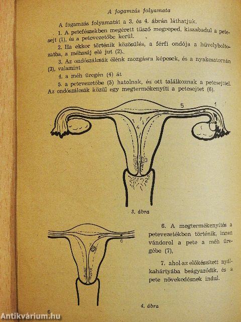 Legyen vagy ne legyen?