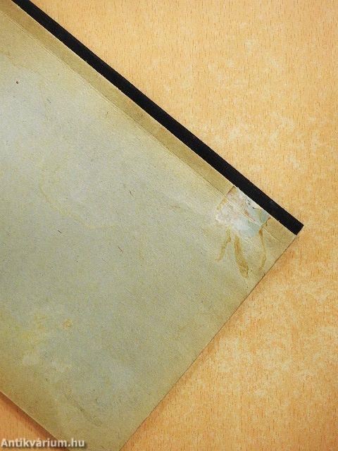 Rádiófrekvenciás energiatovábbítás vezetéken