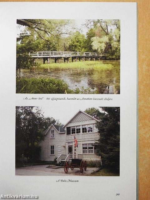 Váratlan utazásaim