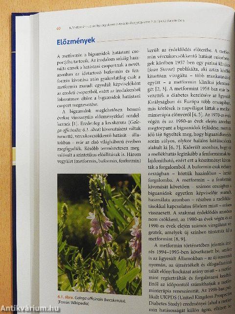 Mérföldkövek a klinikai diabetológia fejlődésében