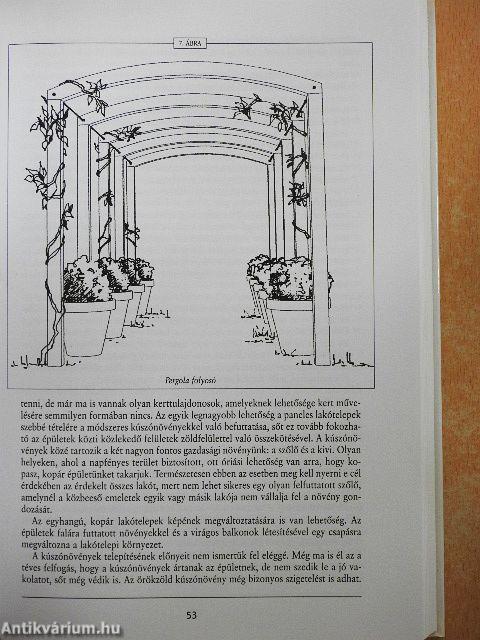 Közkertek, közparkok, különleges kertek tervezése