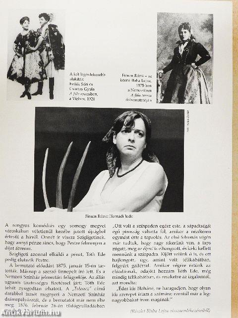 Tóth Ede: A falu rossza