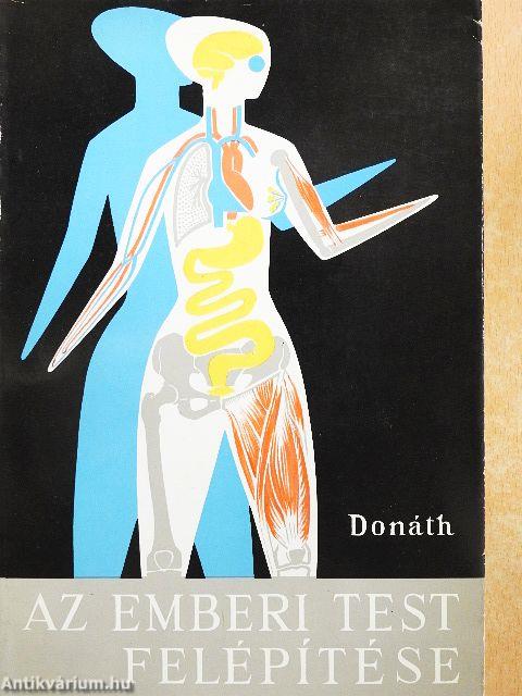 Az emberi test felépítése