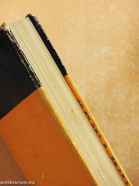 Anne Frank és Dawid Rubinowicz naplója