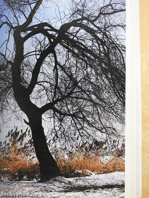 Jékely Zoltán összegyűjtött versei