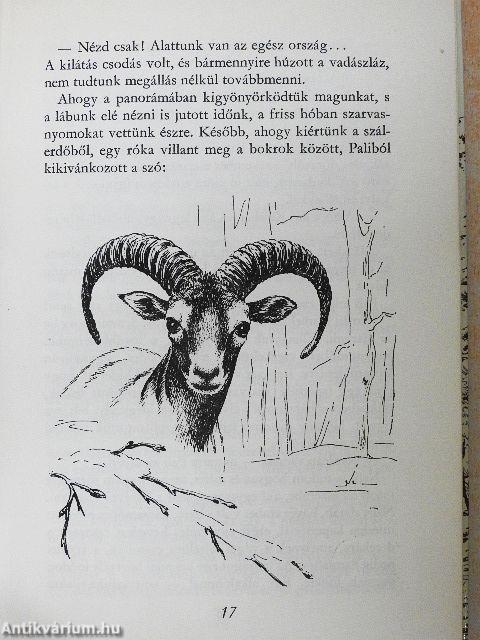 Magasles a Kékes alatt