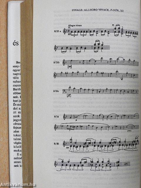 Beethoven és kilenc szimfóniája