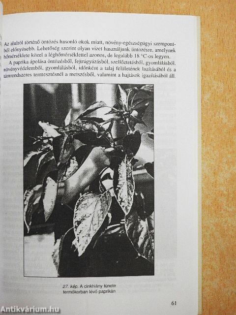 Fólia alatti zöldségtermesztés