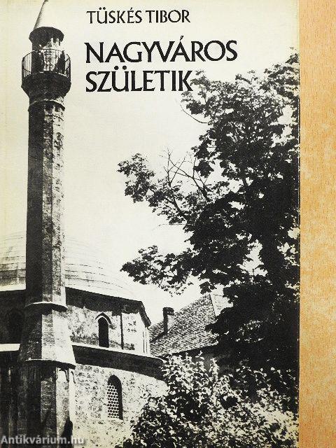 Nagyváros születik