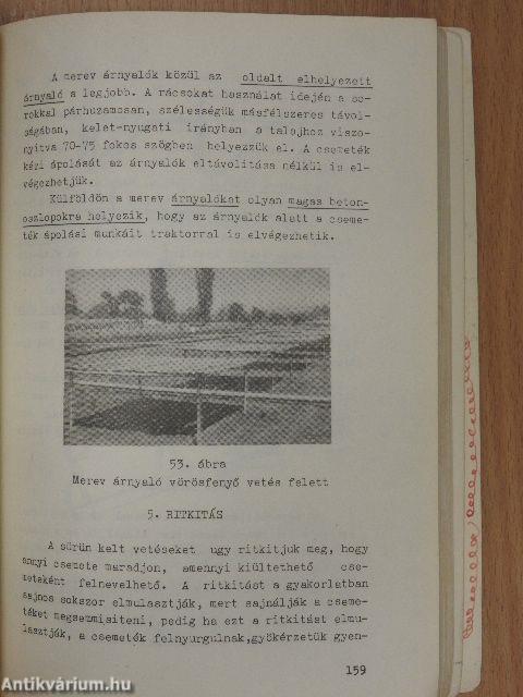 Erdőműveléstan I.