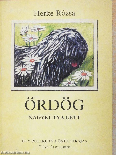 Ördög nagykutya lett