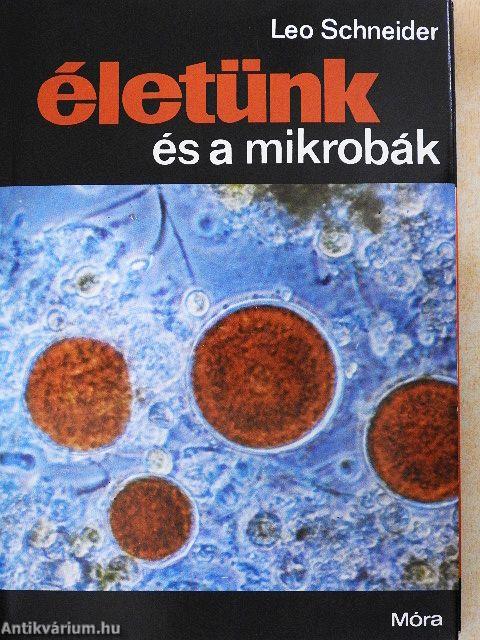 Életünk és a mikrobák