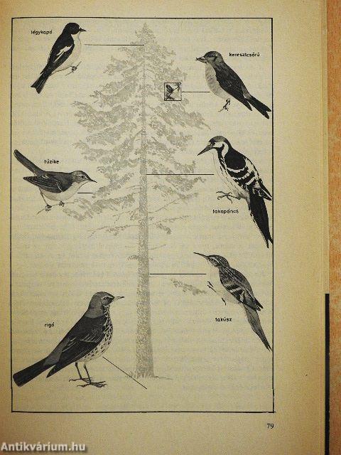 Korunk környezetbiológiája