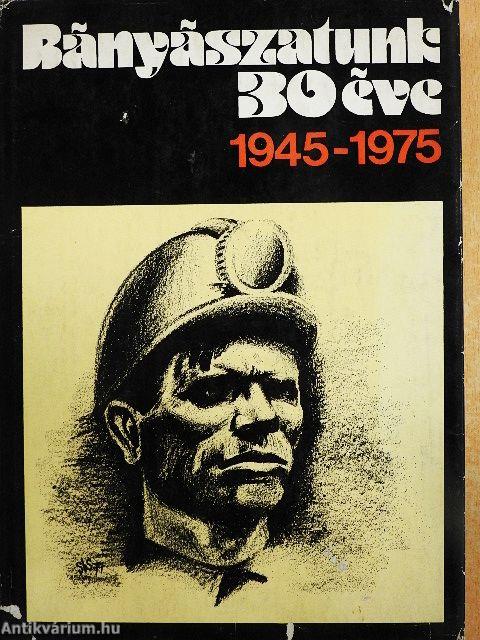 Bányászatunk 30 éve