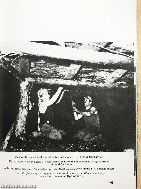 Bányászatunk 30 éve