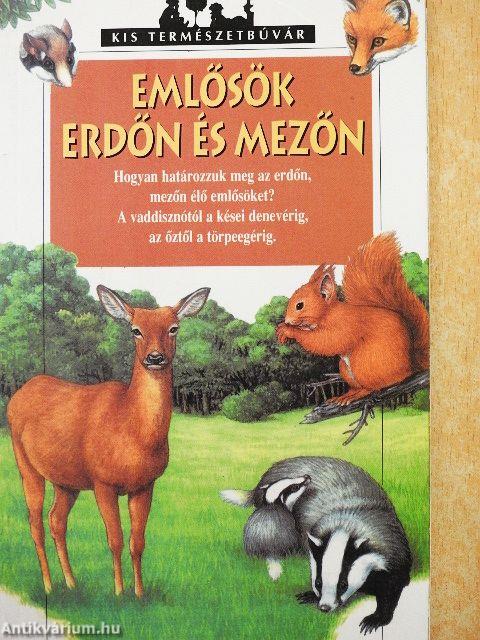 Emlősök erdőn és mezőn